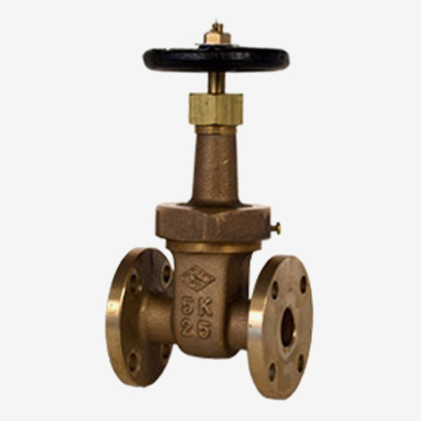 Marine Valves Saudi Arabia