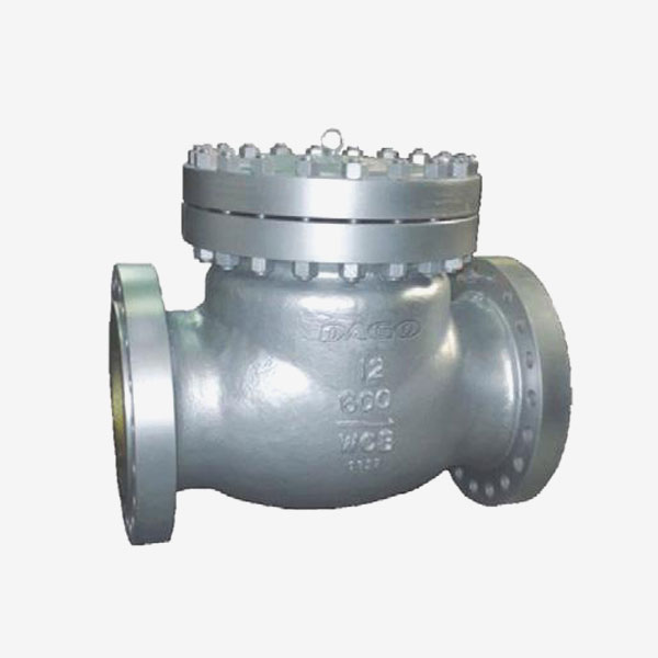 Check Valve Saudi Arabia